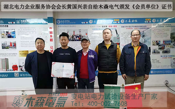 木森電氣入駐湖北電力企業(yè)服務協(xié)會會員合影