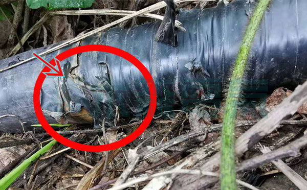 木森電氣電纜故障檢測儀發現故障點